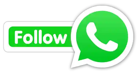 Maharummy rummy WhatsApp